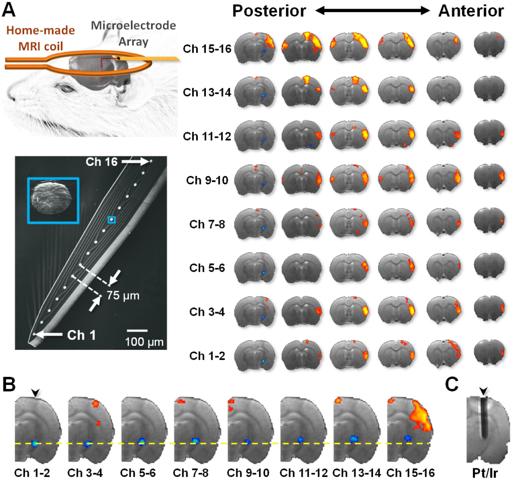 research_fmri