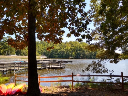 Potluck 2019 at University Lake