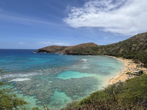 ISMRM 2025 Hawaiʻi